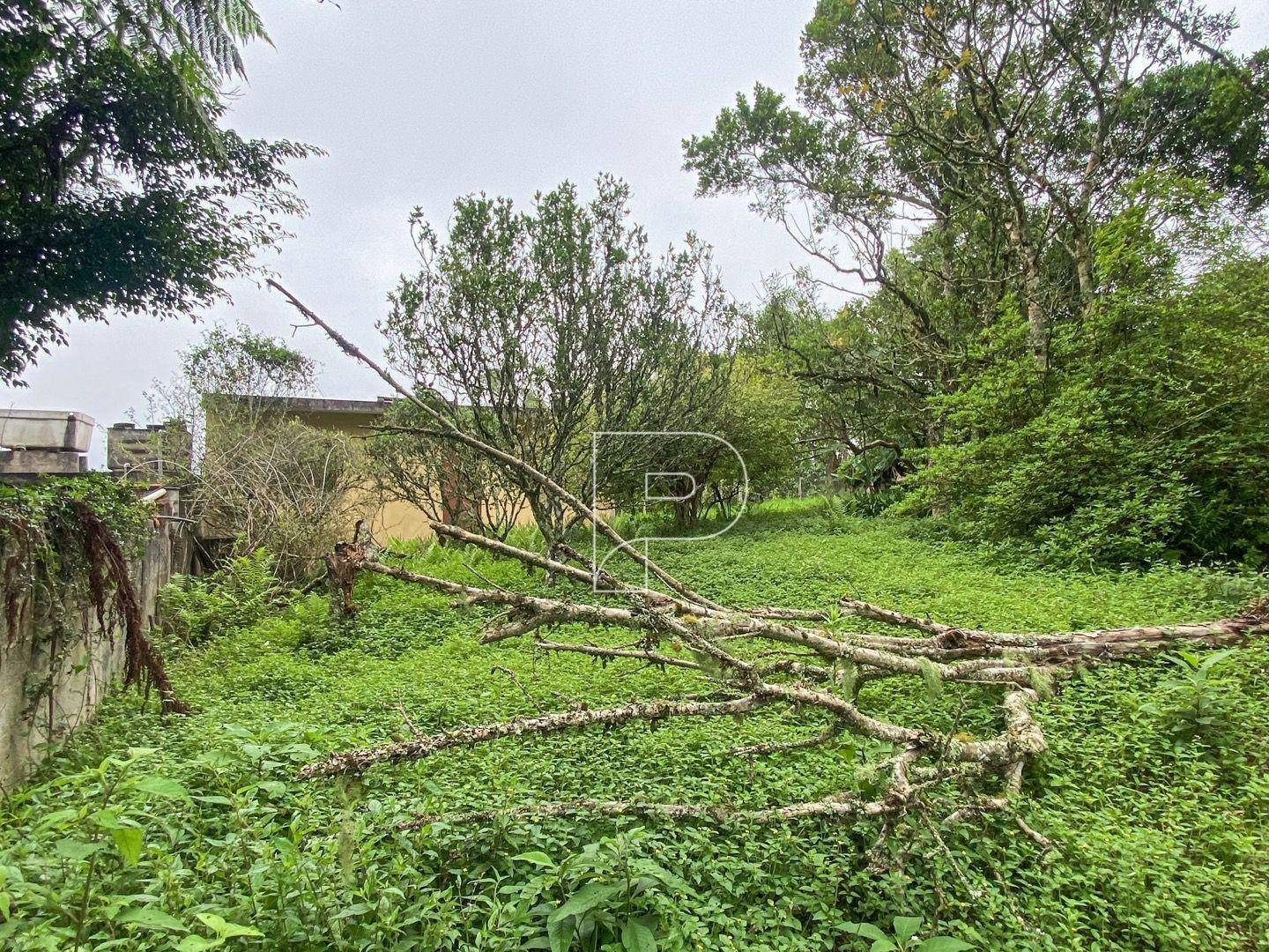 Terreno à venda, 3146M2 - Foto 18