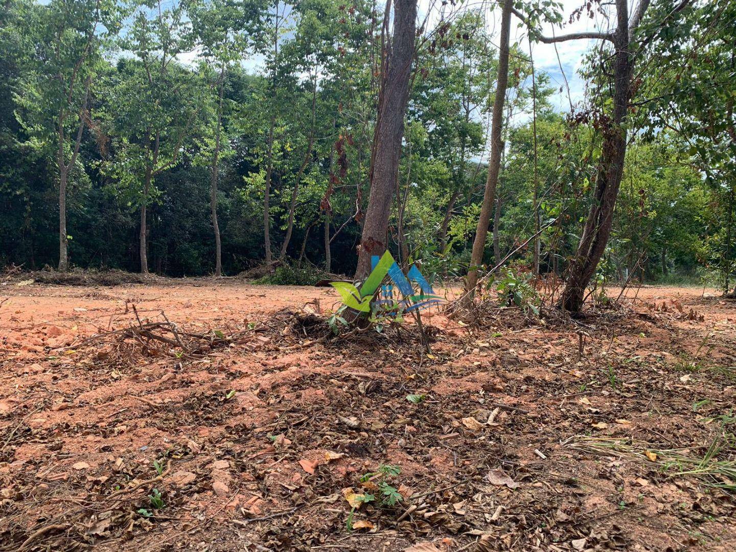 Terreno à venda, 3000M2 - Foto 2