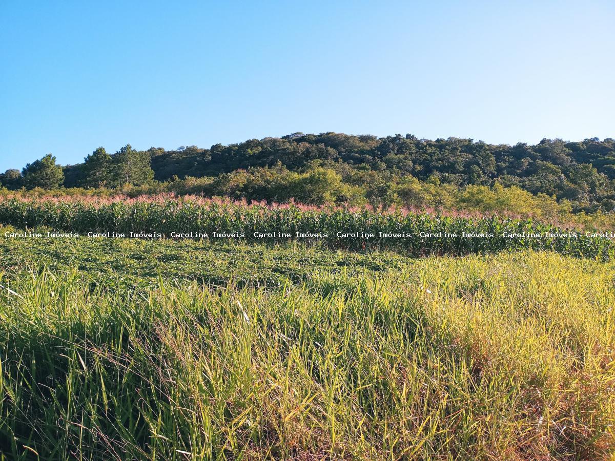 Fazenda à venda com 2 quartos, 50000m² - Foto 13