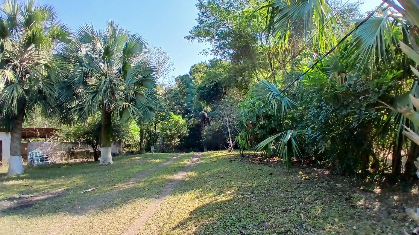 Fazenda à venda com 3 quartos, 100000m² - Foto 28