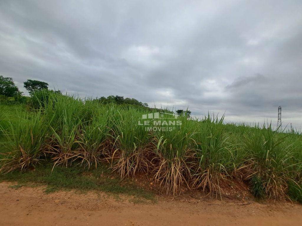 Terreno para alugar, 30000M2 - Foto 4