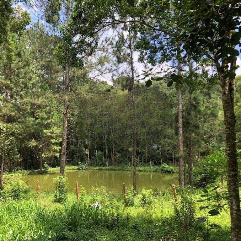 Chácara, 3 quartos, 3 hectares - Foto 2