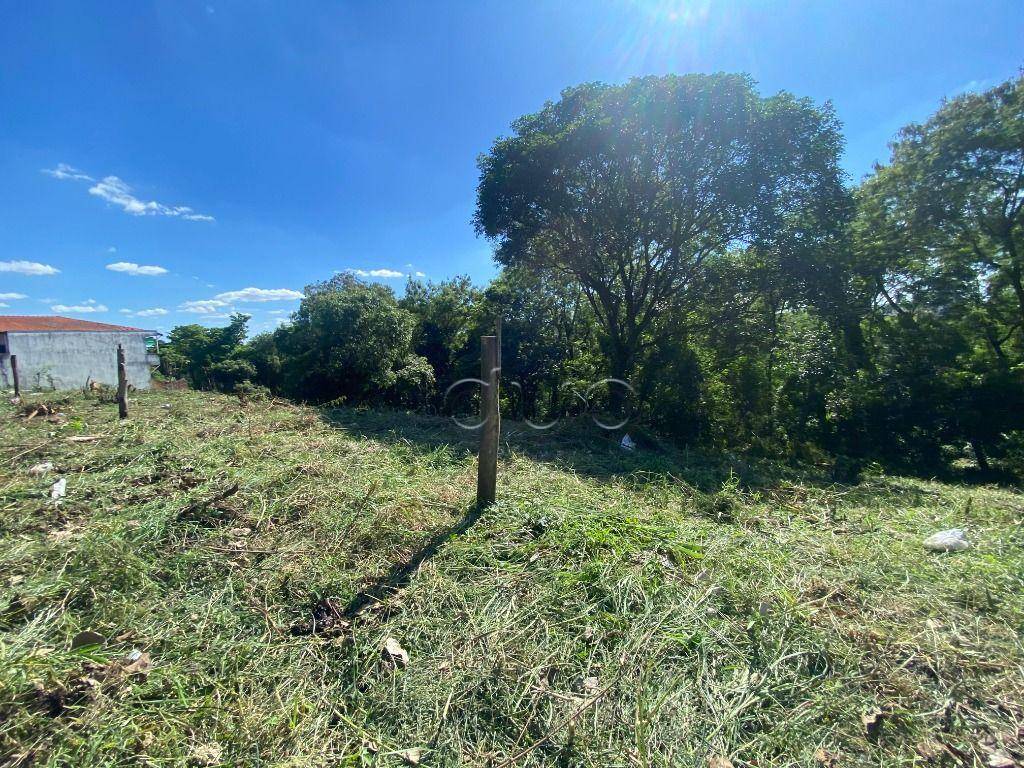 Terreno, 2607 m² - Foto 5