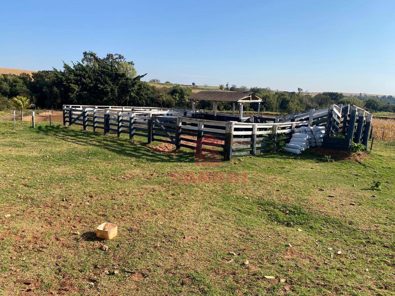 Sítio, 2 hectares - Foto 3