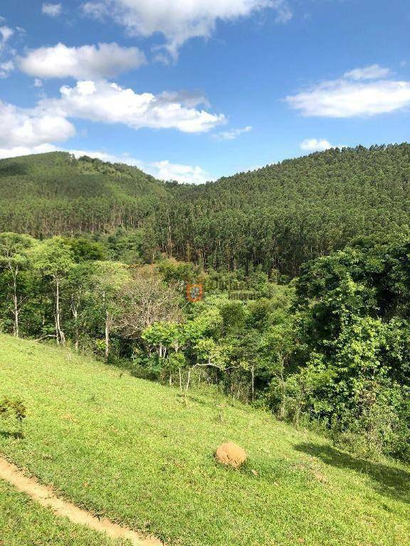 Fazenda, 218 hectares - Foto 5