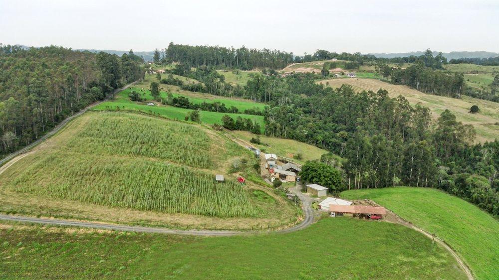 Fazenda-Sítio-Chácara, 21 hectares - Foto 2