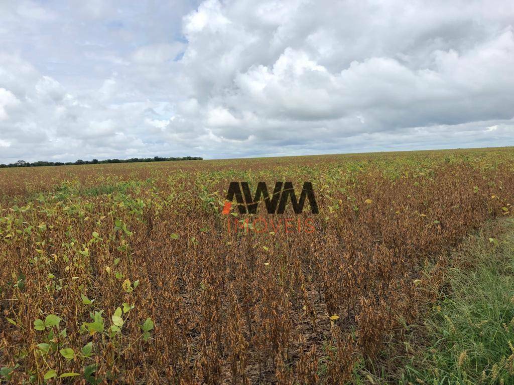 Fazenda à venda, 11520000M2 - Foto 4