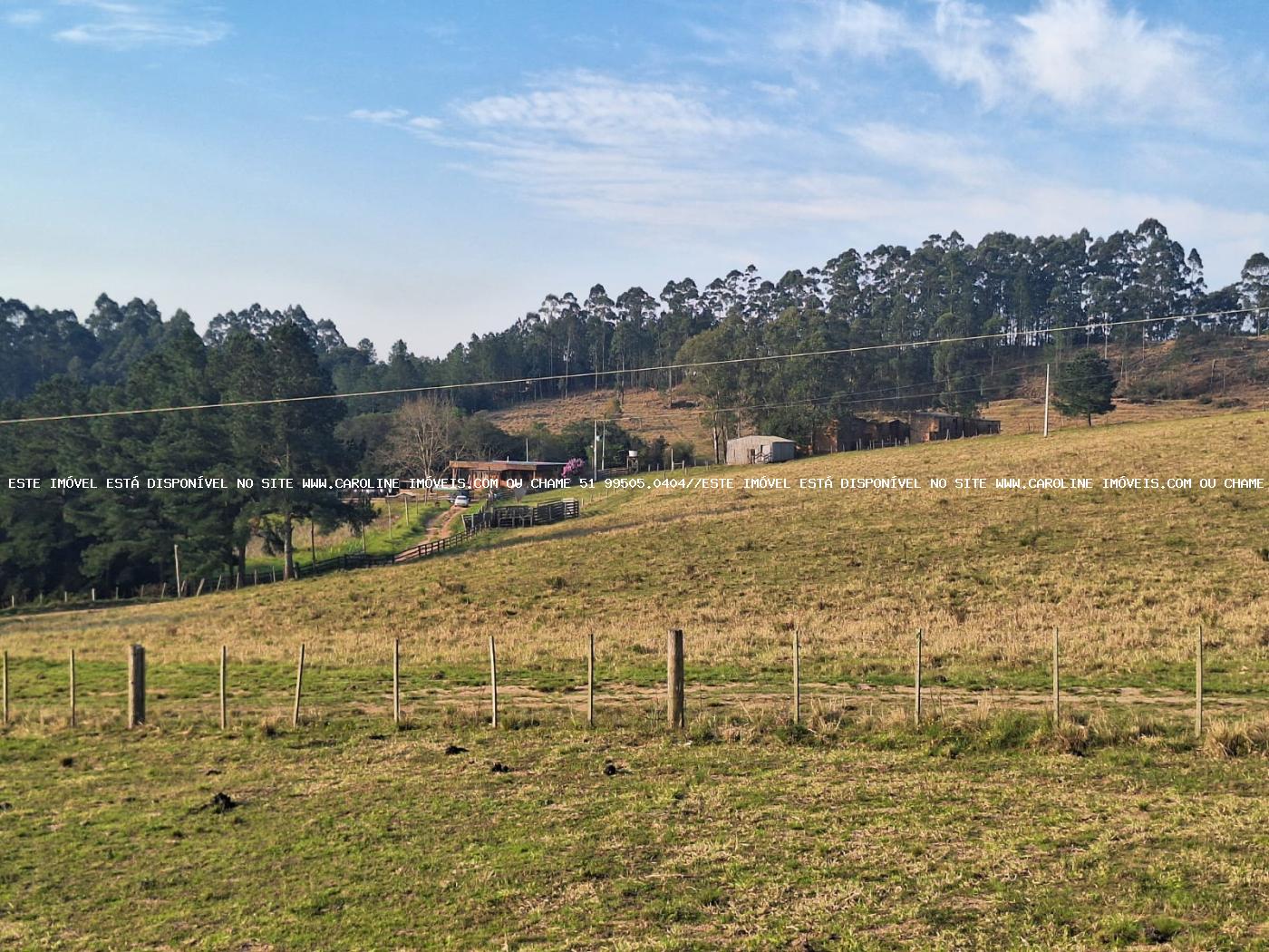 Sítio à venda, 80000m² - Foto 48