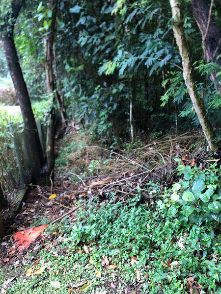 Loteamento e Condomínio à venda, 1300M2 - Foto 5