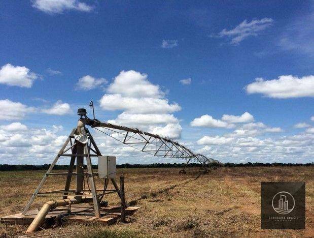 Fazenda-Sítio-Chácara, 78000 hectares - Foto 4