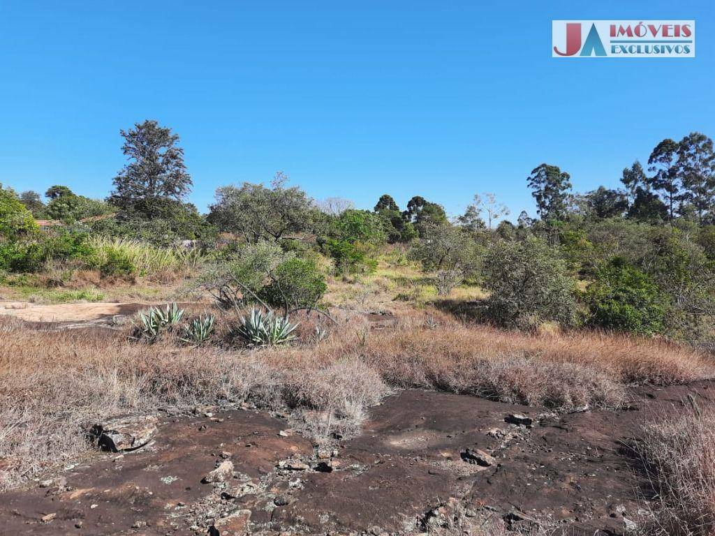 Sítio à venda com 1 quarto, 24500M2 - Foto 8