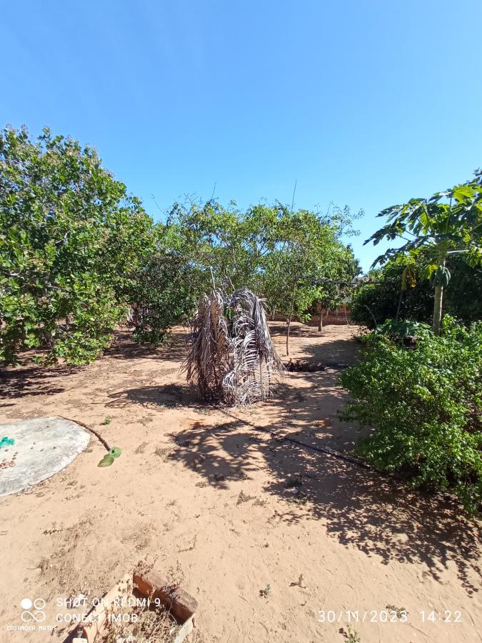 Fazenda à venda com 3 quartos, 900m² - Foto 5