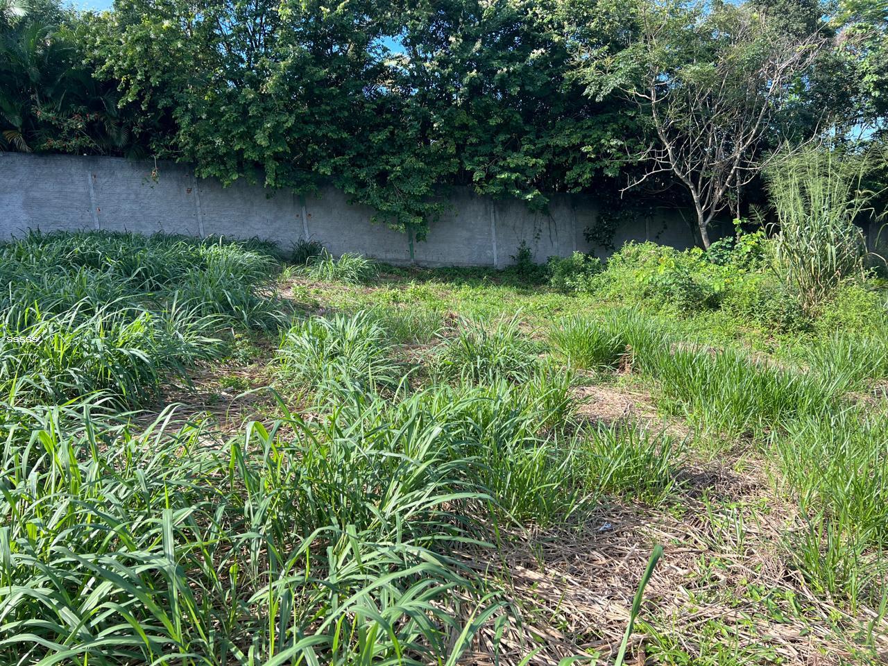 Terreno à venda, 455m² - Foto 12