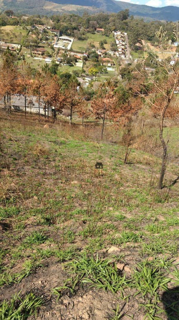 Terreno à venda, 2035M2 - Foto 6