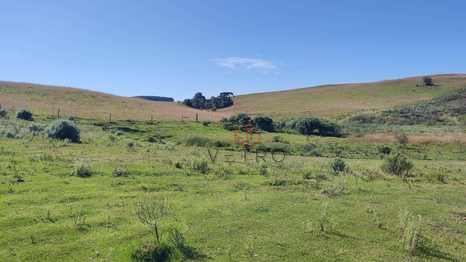 Sítio à venda com 3 quartos, 37000M2 - Foto 19