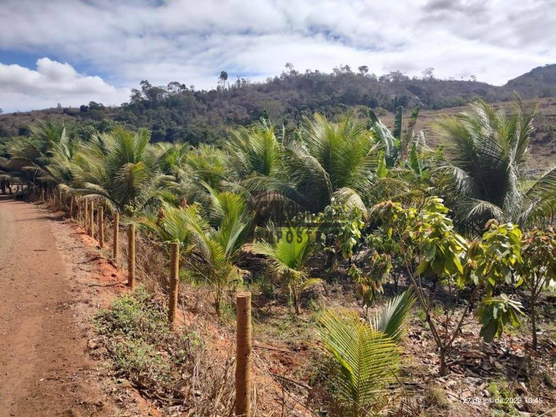 Chácara à venda, 8000M2 - Foto 1