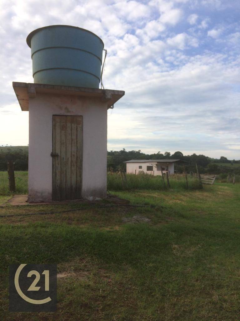 Sítio à venda com 4 quartos, 125356M2 - Foto 4