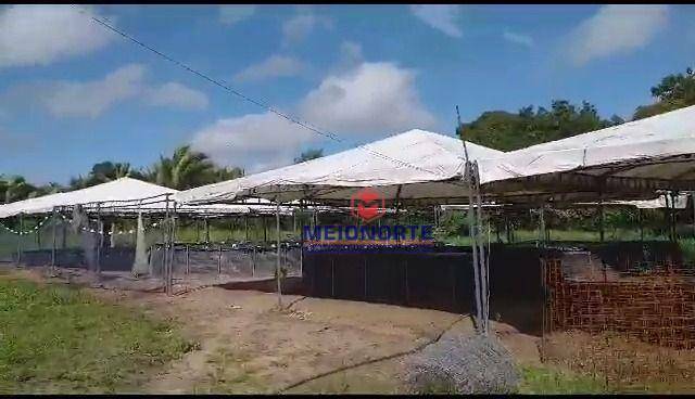 Fazenda à venda com 2 quartos, 300000M2 - Foto 12