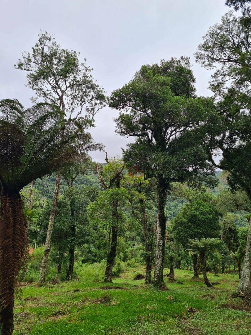 Terreno à venda, 3400M2 - Foto 2