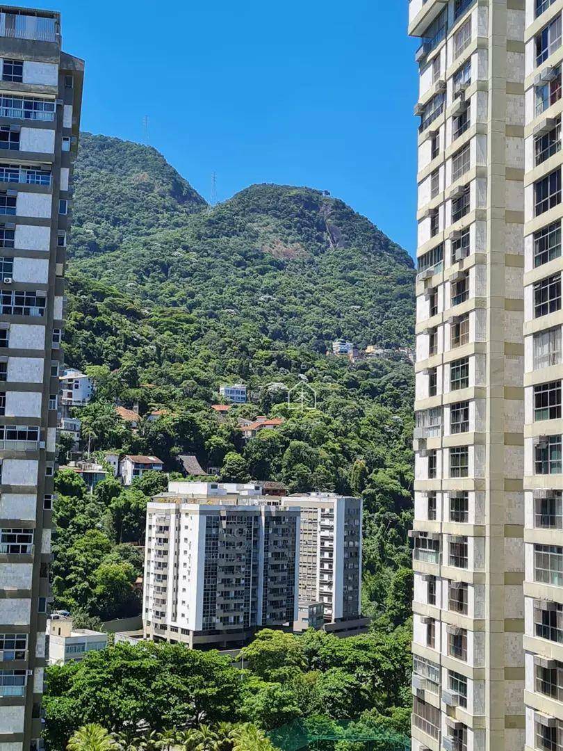 Apartamento à venda com 3 quartos, 300m² - Foto 14