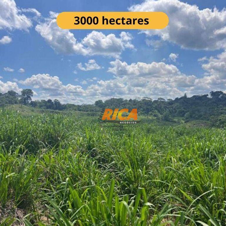 Fazenda à venda, 30000000M2 - Foto 1