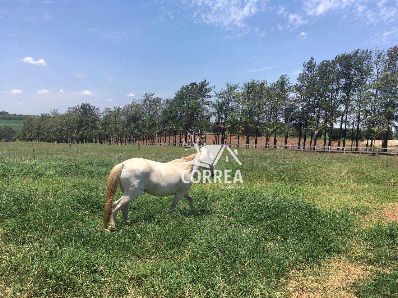 Haras e Área Rural Padrão à venda com 2 quartos, 32000m² - Foto 7