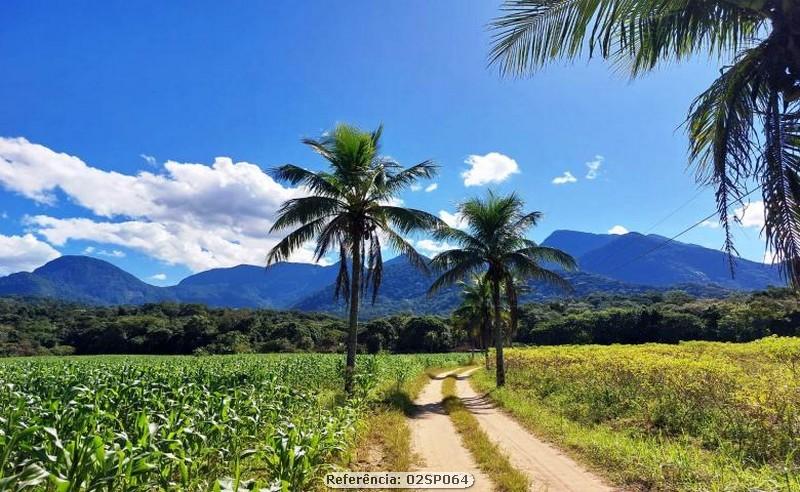 Fazenda à venda com 3 quartos, 160000m² - Foto 16