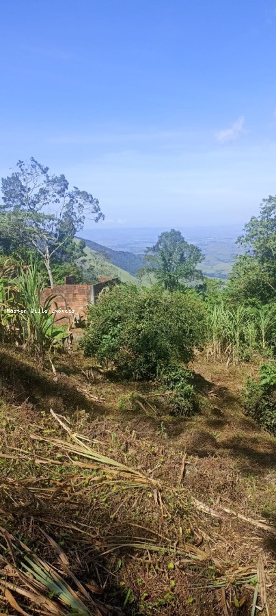 Terreno, 2 hectares - Foto 10