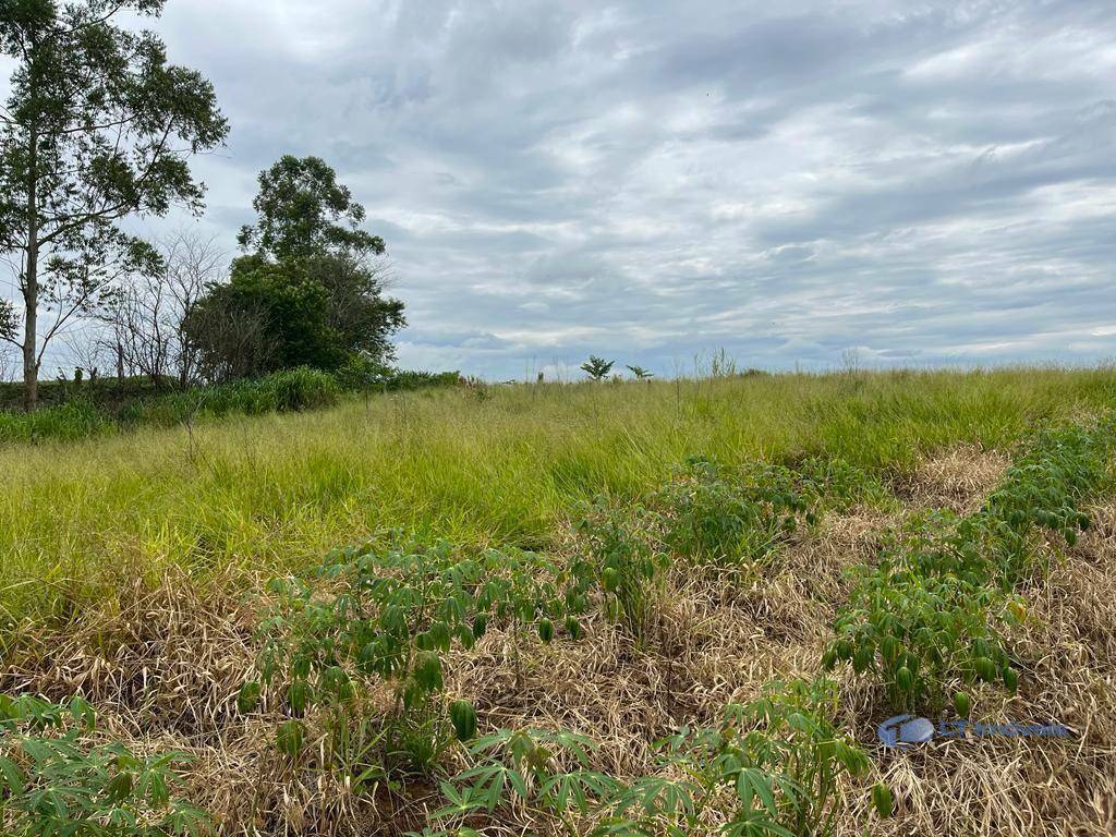 Terreno à venda, 1000M2 - Foto 1