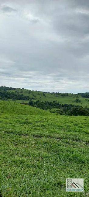 Fazenda à venda com 5 quartos, 500m² - Foto 4