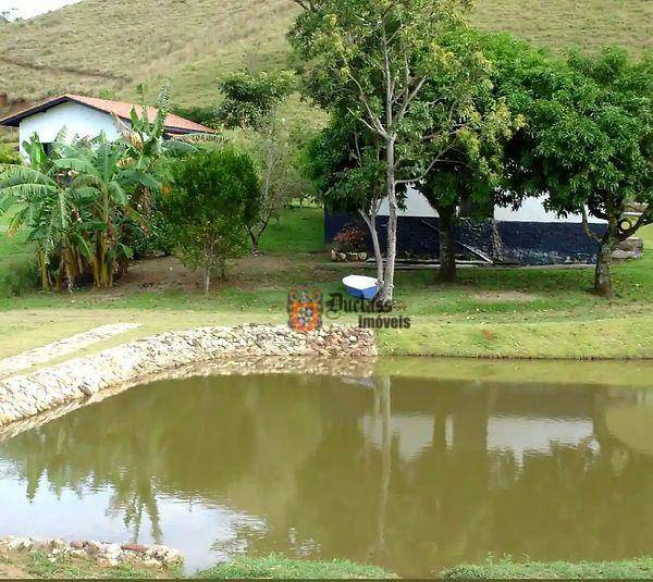 Fazenda à venda com 5 quartos, 1331000M2 - Foto 43