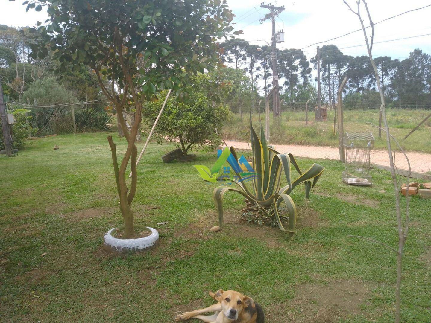 Chácara à venda com 4 quartos, 100m² - Foto 26