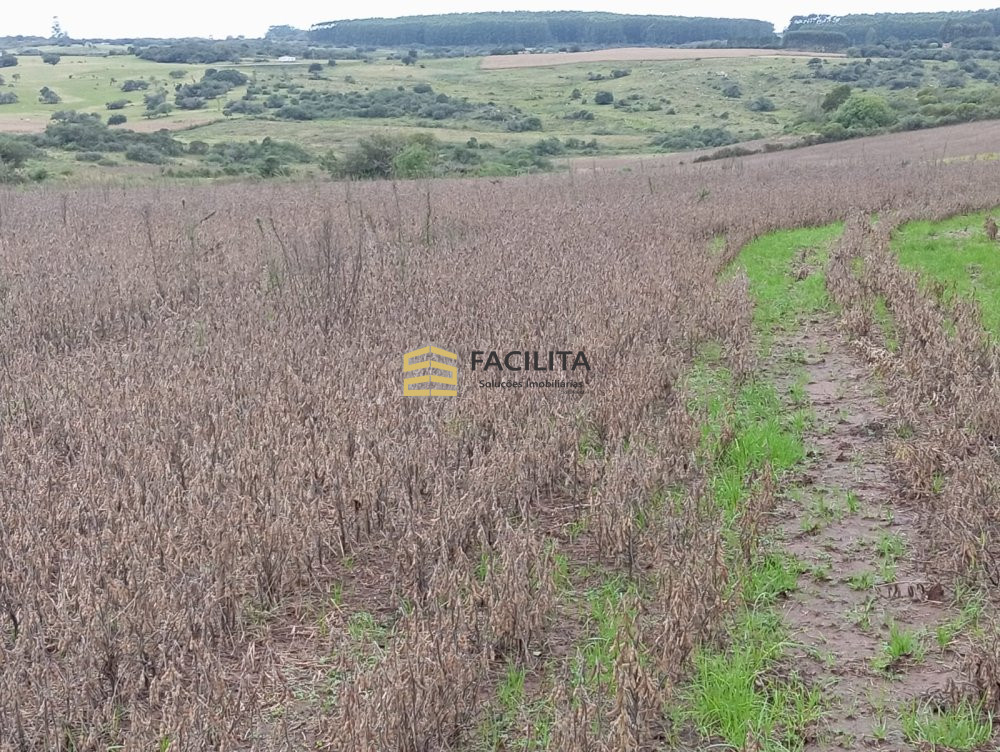 Fazenda à venda, 415000m² - Foto 1