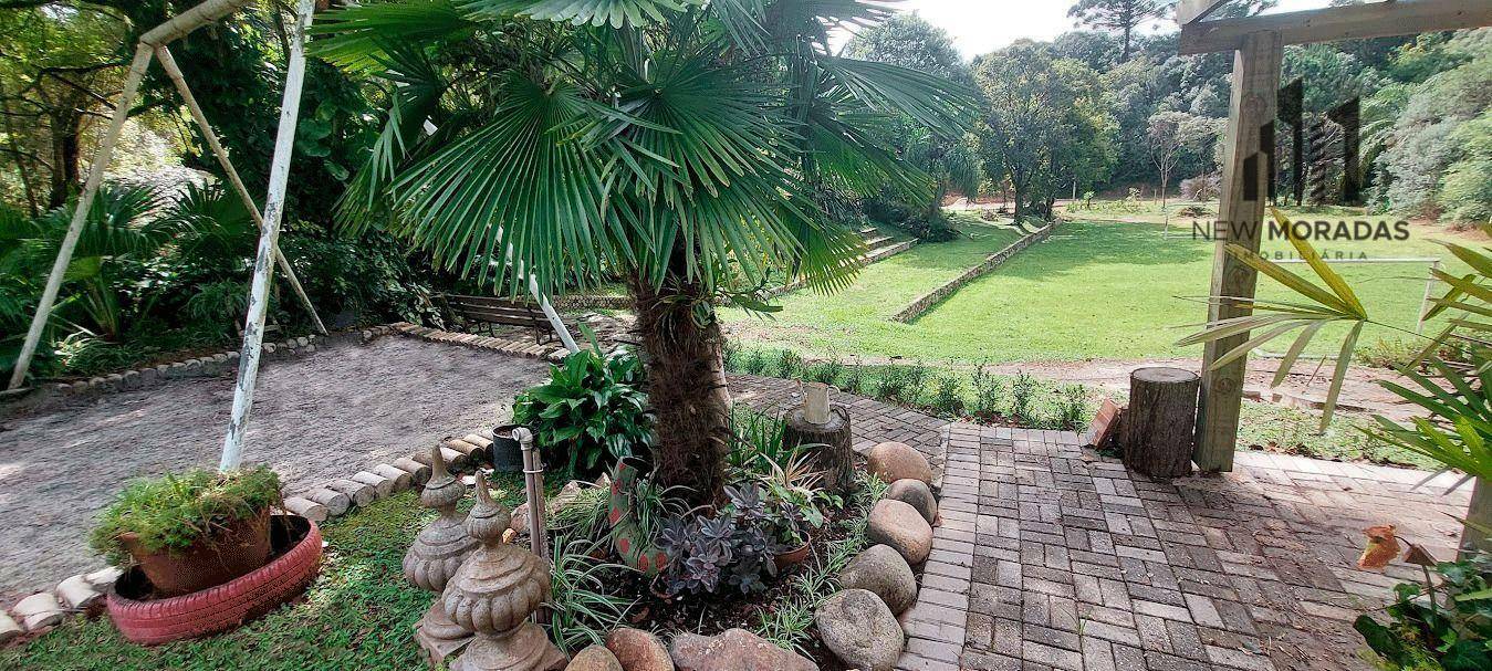 Chácara, 3 hectares - Foto 39