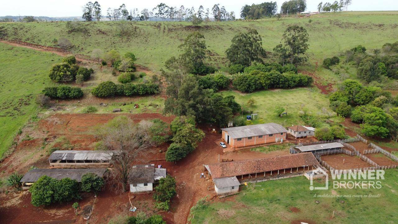 Fazenda à venda com 6 quartos, 600m² - Foto 2