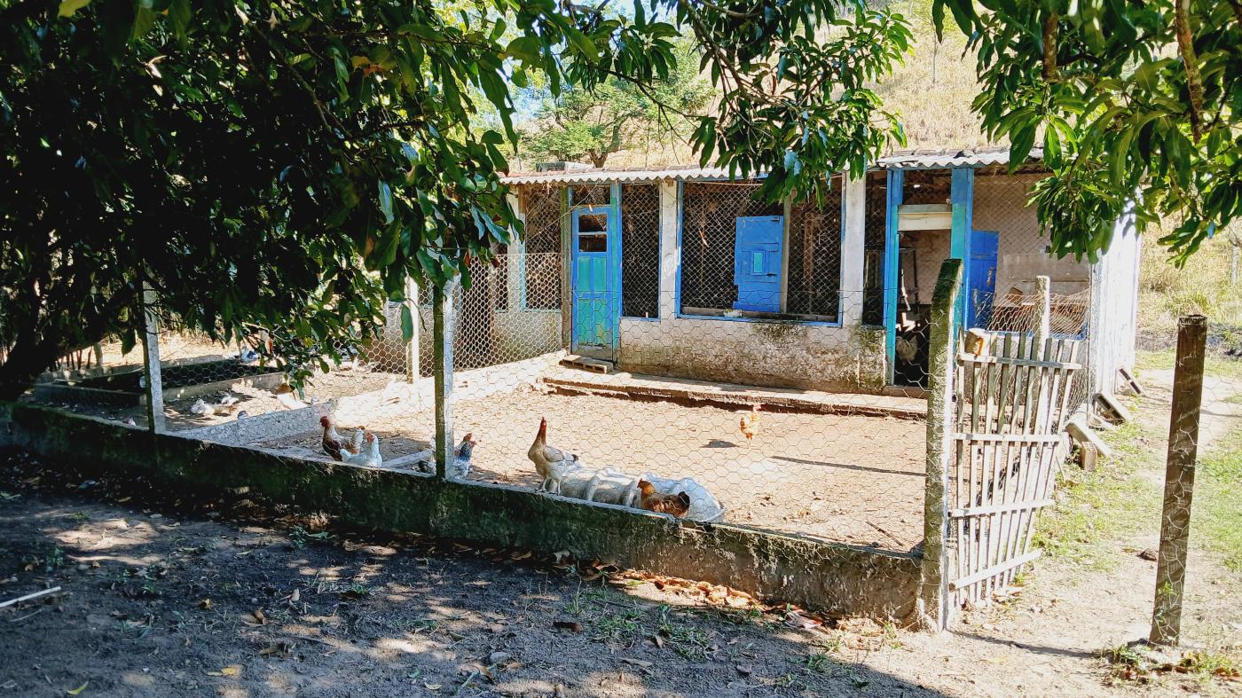 Fazenda à venda com 3 quartos, 100000m² - Foto 21