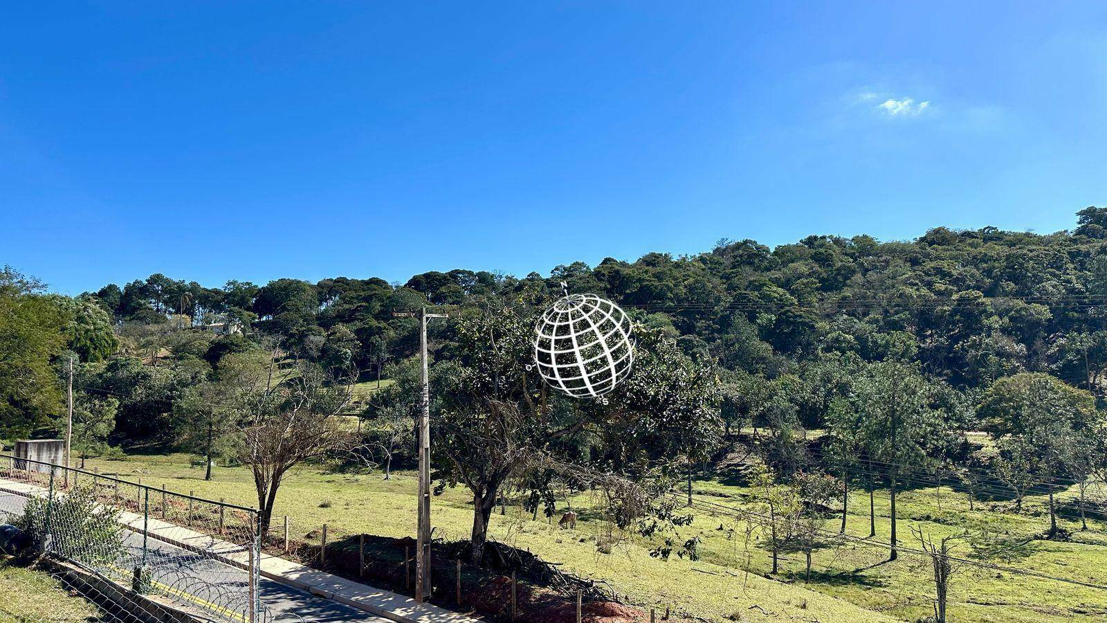 Terreno, 8 hectares - Foto 6