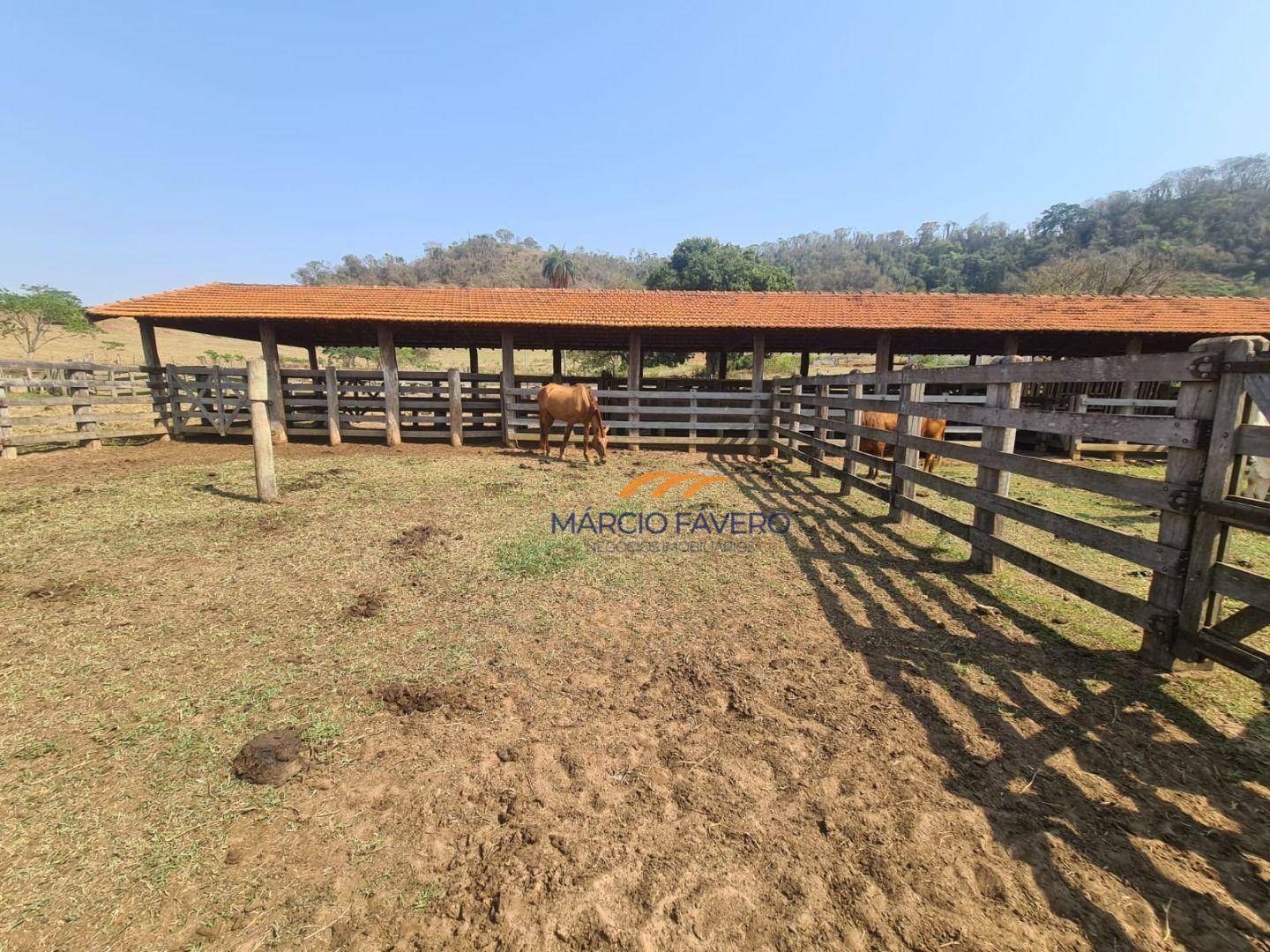 Fazenda à venda, 2299000M2 - Foto 4