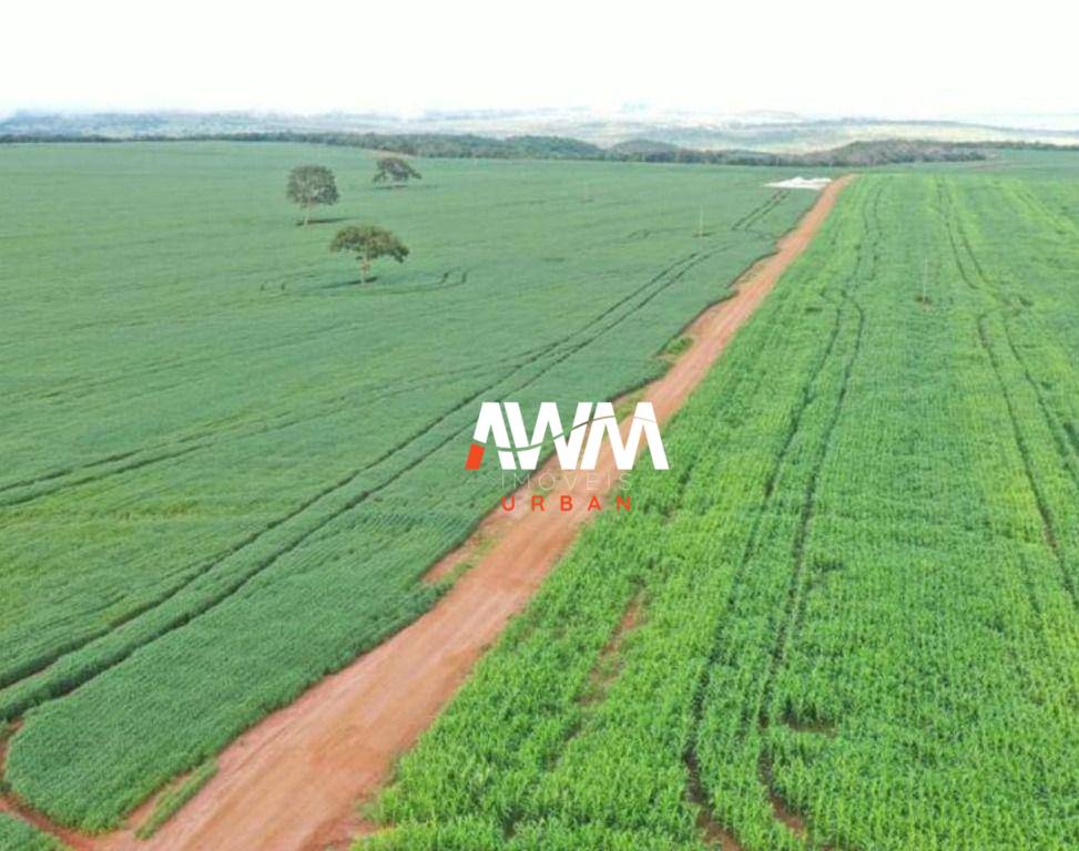 Fazenda, 4365 hectares - Foto 4