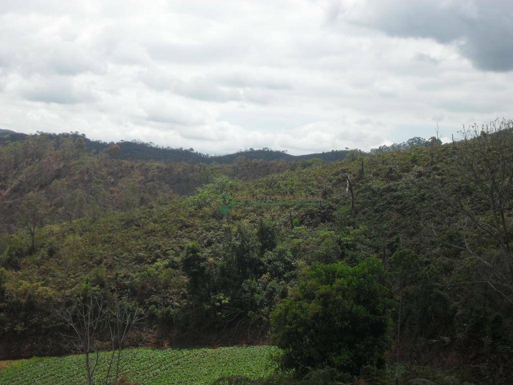 Loteamento e Condomínio à venda, 1024M2 - Foto 8