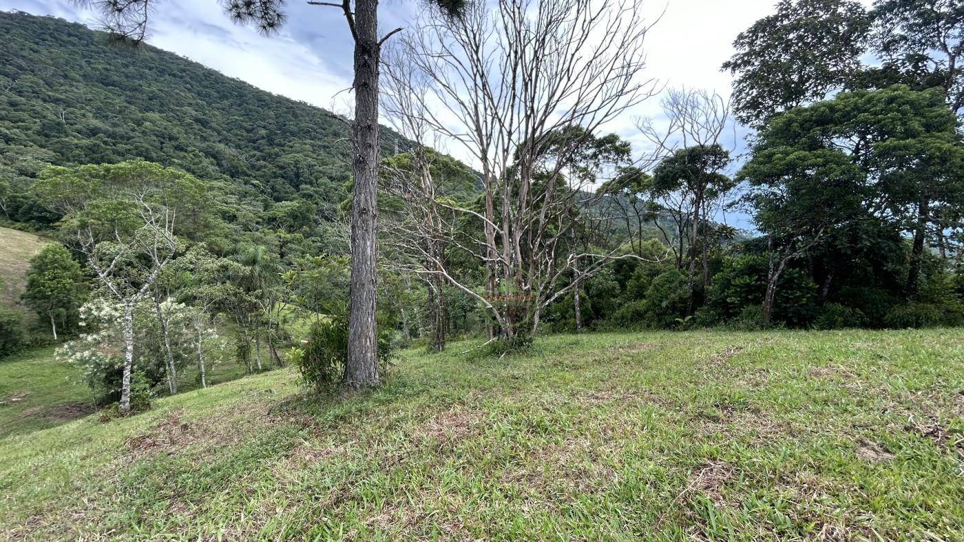 Terreno, 9 hectares - Foto 6