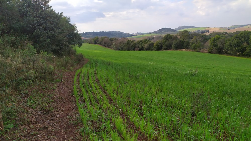 Fazenda à venda, 60m² - Foto 11