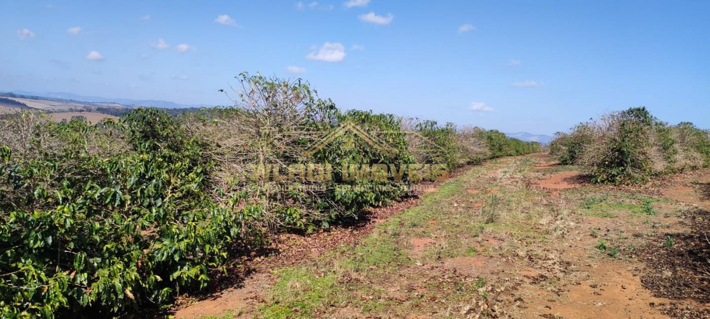 Sítio, 10 m² - Foto 7