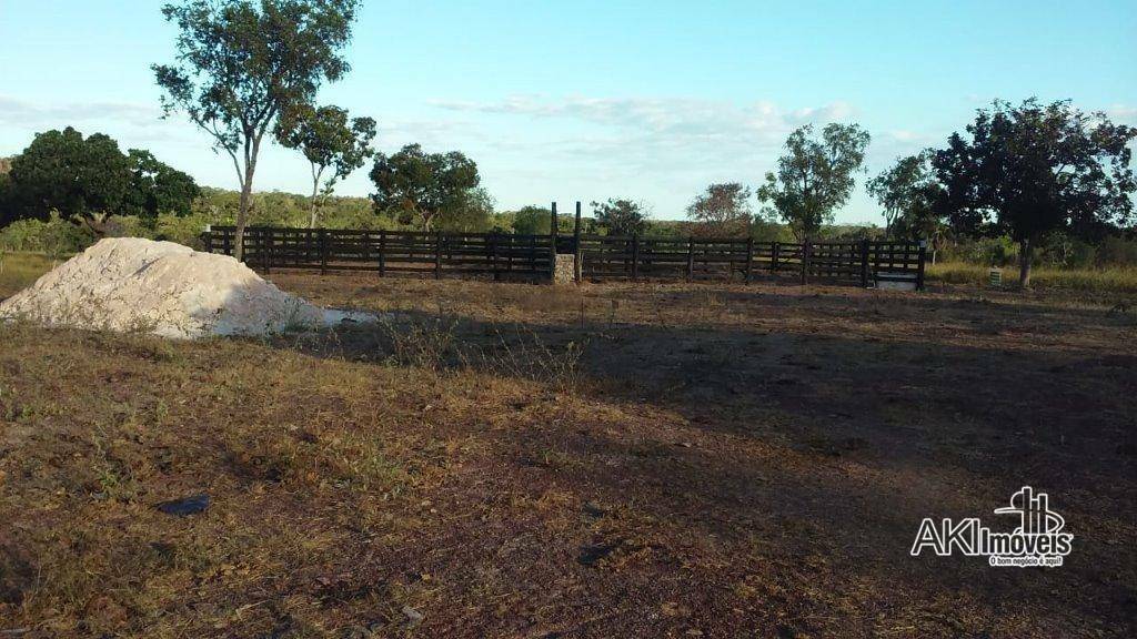 Fazenda à venda com 2 quartos, 4500000M2 - Foto 17