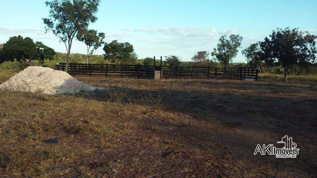 Fazenda à venda com 2 quartos, 4500000M2 - Foto 19