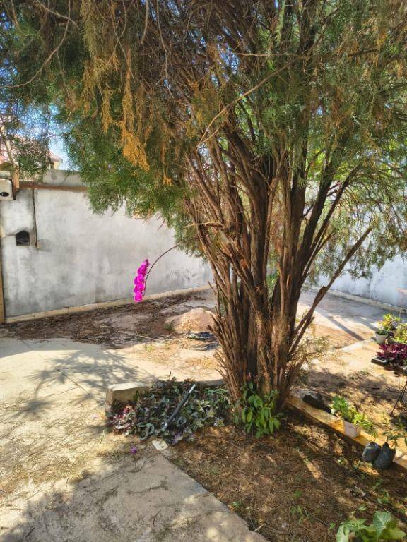 Casa, 3 quartos, 200 m² - Foto 15