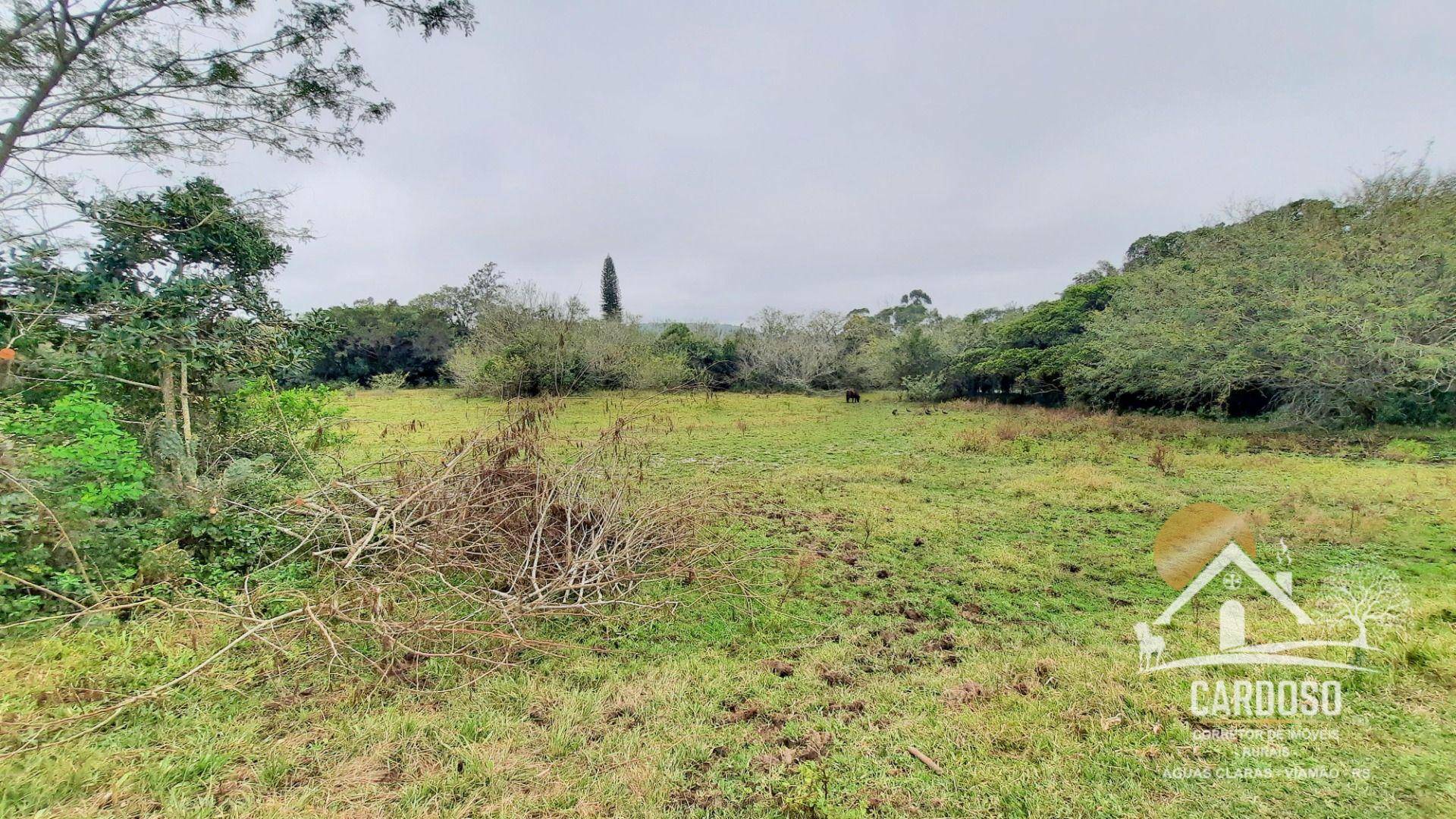 Haras e Área Rural Padrão à venda com 3 quartos, 270000M2 - Foto 2