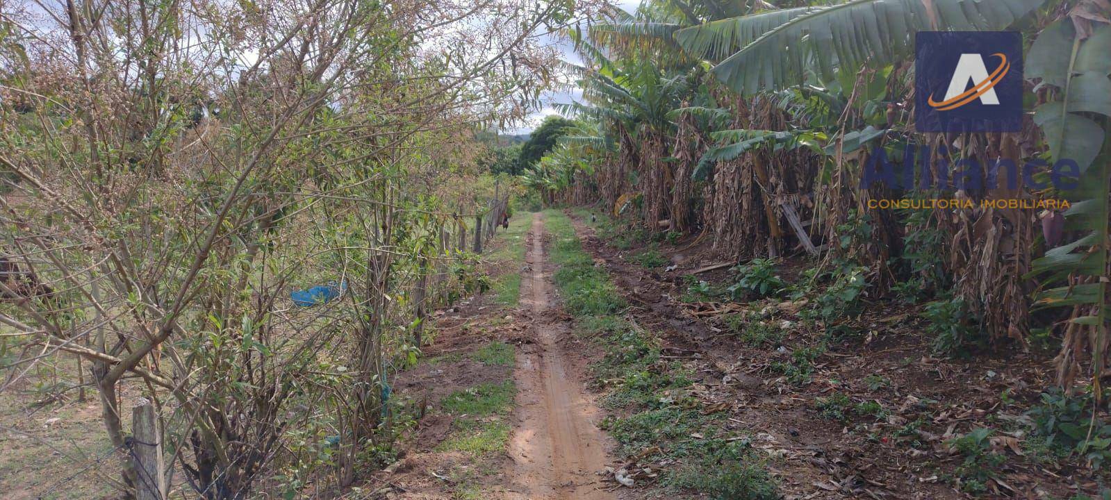 Terreno à venda, 24000M2 - Foto 7