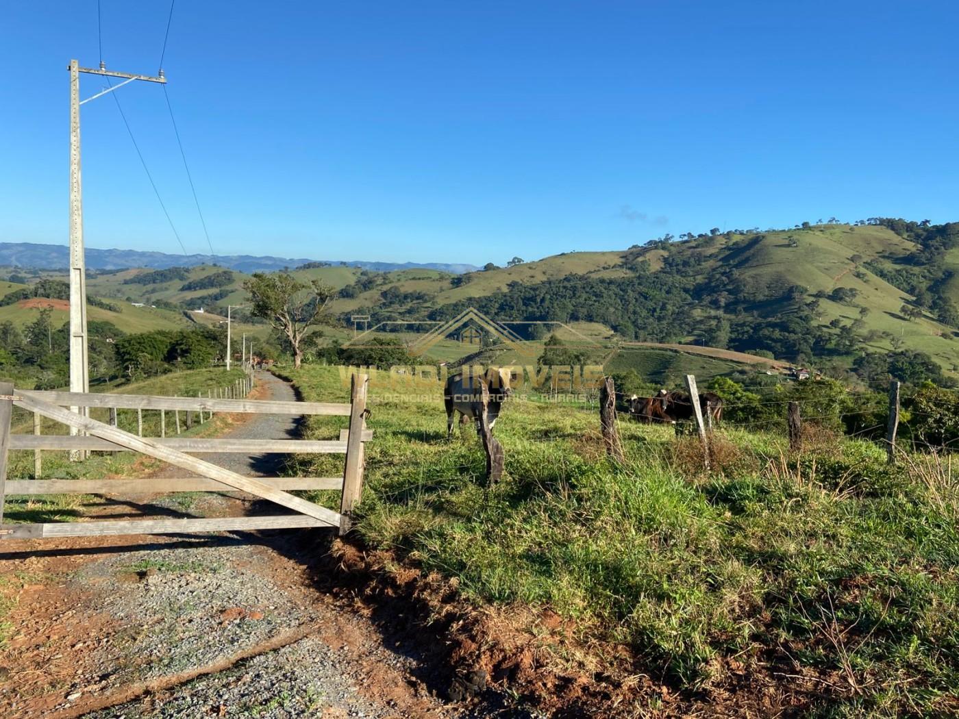 Terreno, 1 hectares - Foto 1