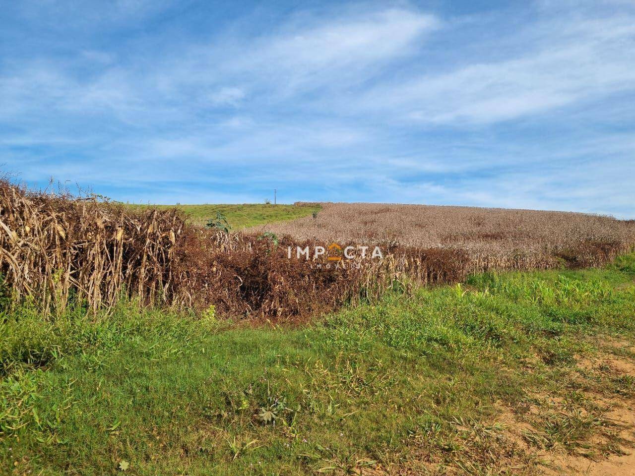 Terreno à venda, 1597200M2 - Foto 4